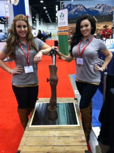 Taking Blacksmith Buddy for a Walk at the 2012 AAEP Convention